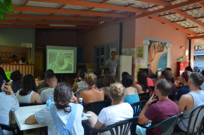 training green for life